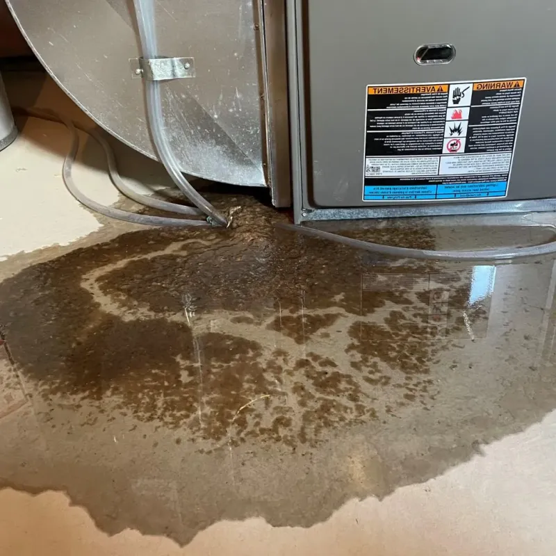 Pipe Burst and Leak Restoration in West Wareham, MA